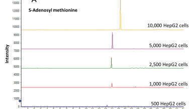 Capillary Electrophoresis-Mass Spectrometry for Micro-Metabolomics